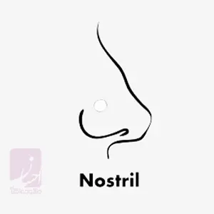 پیرسینگ پره بینی (Nostril Piercing) | طلا و جواهر احسان