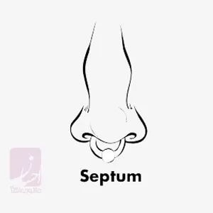 پیرسینگ سپتوم بینی (Septum Piercing) | طلا و جواهر احسان