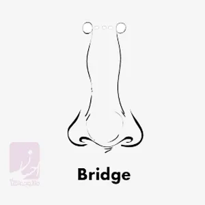 پیرسینگ پل بینی (Bridge Piercing) | طلا و جواهر احسان